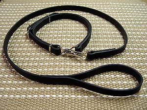 Police / hunting dog leash and collar (combo) for training or owners