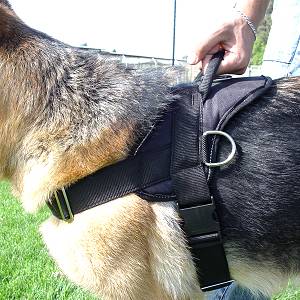 nylon dog harness german shepherd