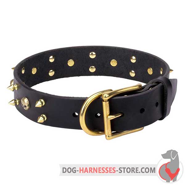 Black Leather Dog Collar Decorated with Brass Spikes and Skulls