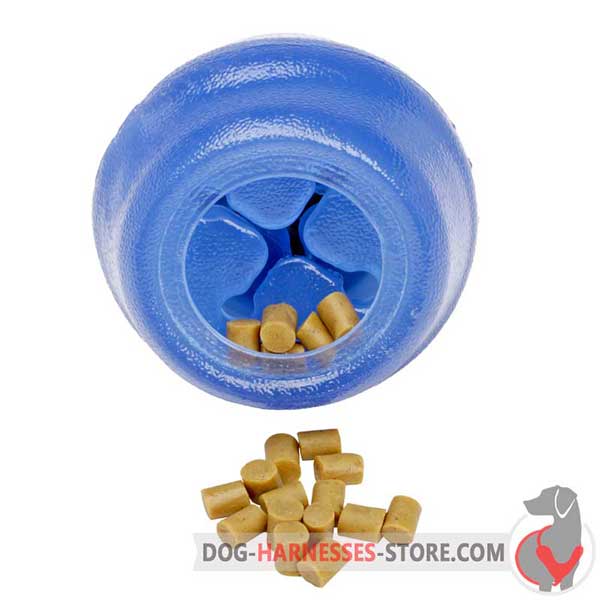 Blue Chewing Dog Ball Medium with Small Tasty Treats
