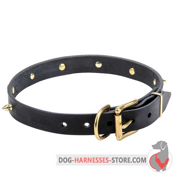 Buckle Leather Dog Collar with Brass Spikes and Skulls