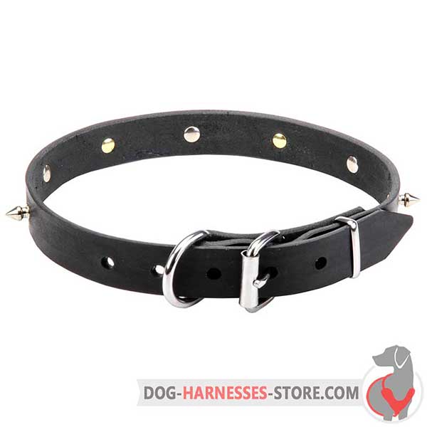 Buckle Leather Dog Collar with Spikes and Skulls