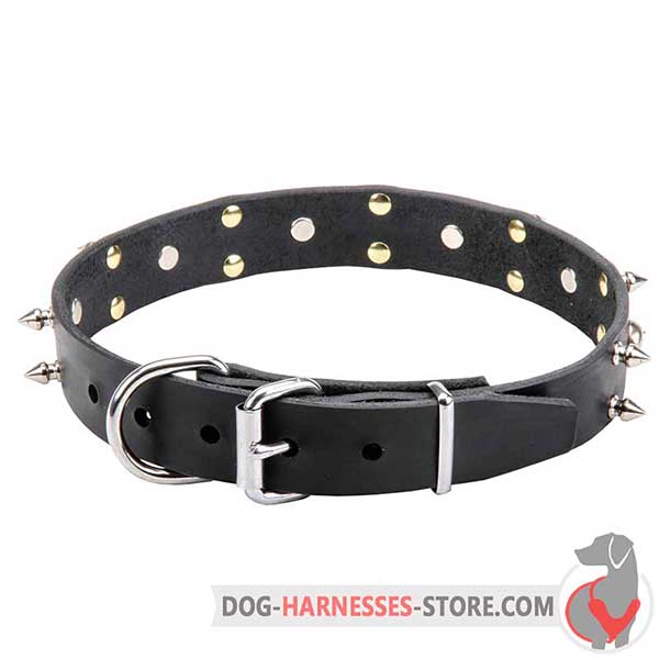 Buckle Leather Dog Collar Decorated with Spikes and Skulls
