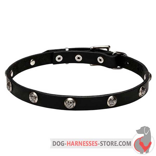 Studded Leather Dog Collar with Floral Design Decorations