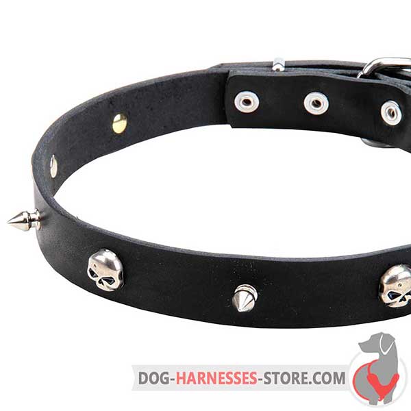 Spiked Leather Dog Collar Additionally Decorated with Skulls