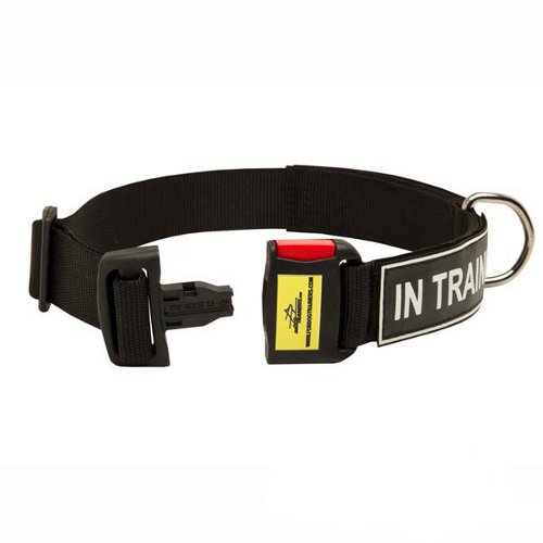 Any Weather Dog Collar with Patches and Quick Release Buckle