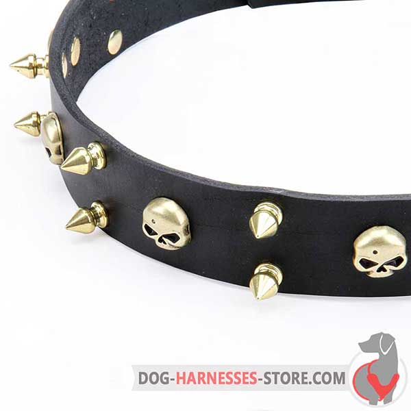 Spiked Leather Dog Collar with Riveted Brass Spikes and Skulls