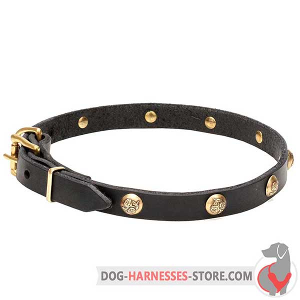 Studded Leather Dog Collar with Riveted Brass Hardware