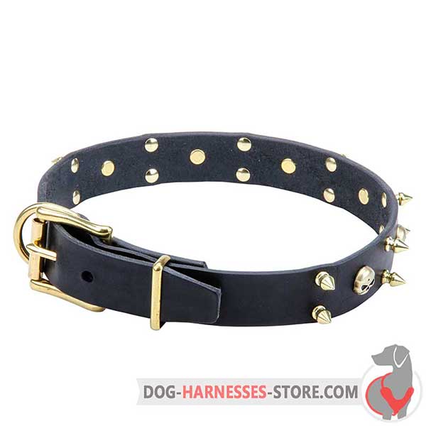 Spiked Leather Dog Collar Decorated with Brass Skulls