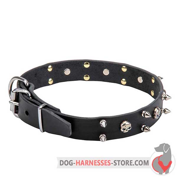 Spiked Leather Dog Collar Decorated with Nickel Plated Skulls