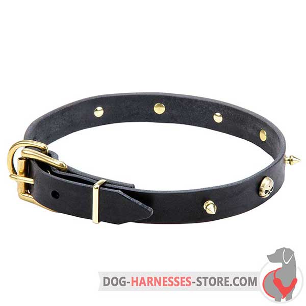 Spiked Leather Dog Collar 25 mm Wide with Brass Skulls
