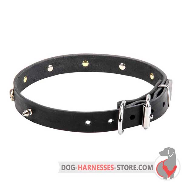 Spiked Leather Dog Collar with Riveted Nickel Plated Hardware