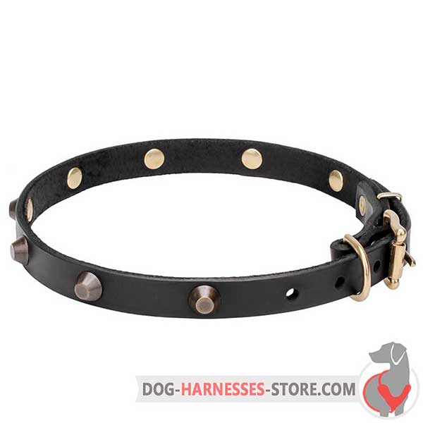 Studded Leather Dog Collar with Brass Plated Pyramids