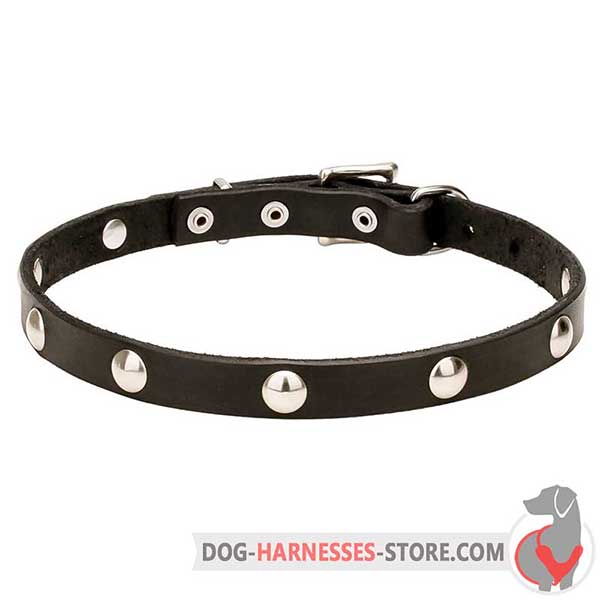 Studded Leather Dog Collar with Riveted Chrome Plated Hardware