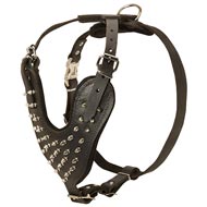 leather spiked dog harness
