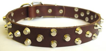 best leather dog collar for gsd